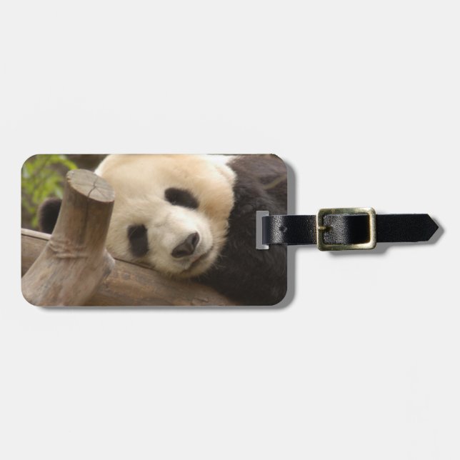 PandaSD010 Gepäckanhänger (Vorderseite horizontal)