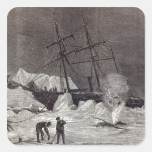 Pandora klemmte im Eis Quadratischer Aufkleber