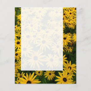 Panel 0107 - Sedum Herbstfreude (B&W) Flyer