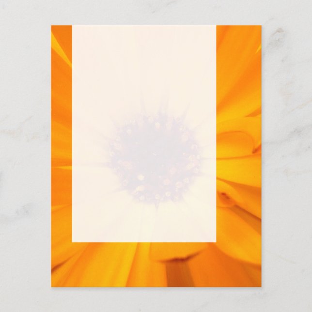 Panel 026 - Orange Tagetes Flyer (Vorne)