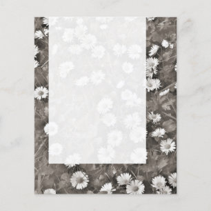 Panel 036 - The Alcient of Daisies Flyer