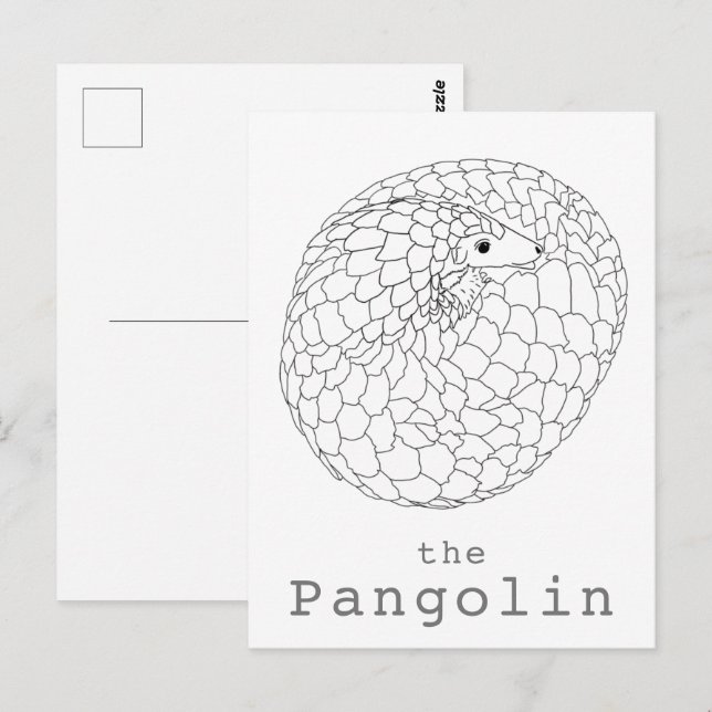 Pangolin aufgerollt, einfach zeichnend postkarte (Vorne/Hinten)