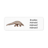 Pangolin-Cartoon