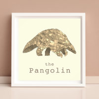 Pangolin - Gefährdete Tierrechte - Aktivismus