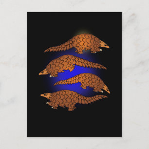 Pangolin Gift Men Pangolin Lover Women Pangolin Postkarte