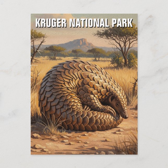 Pangolin im Kruger-Nationalpark Südafrika Postkarte (Vorderseite)