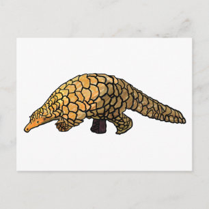 Pangolin Postkarte