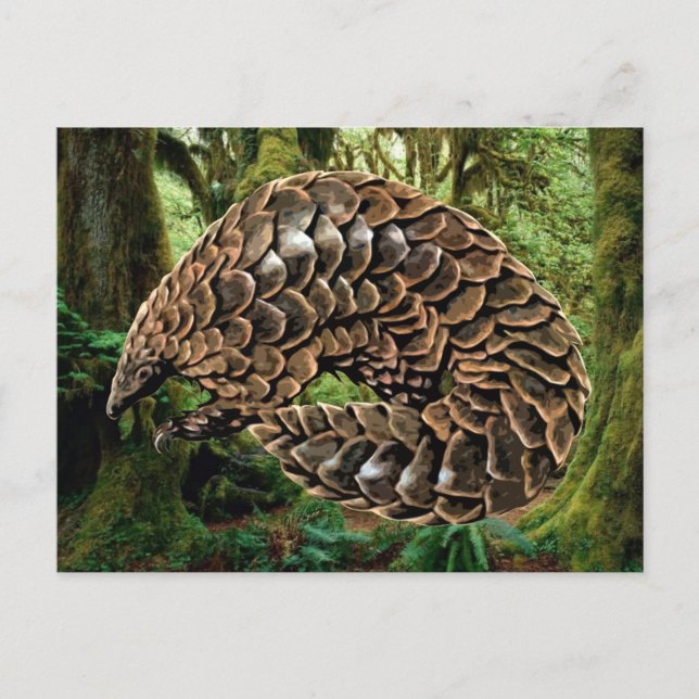 Pangolin Postkarten (Vorderseite)
