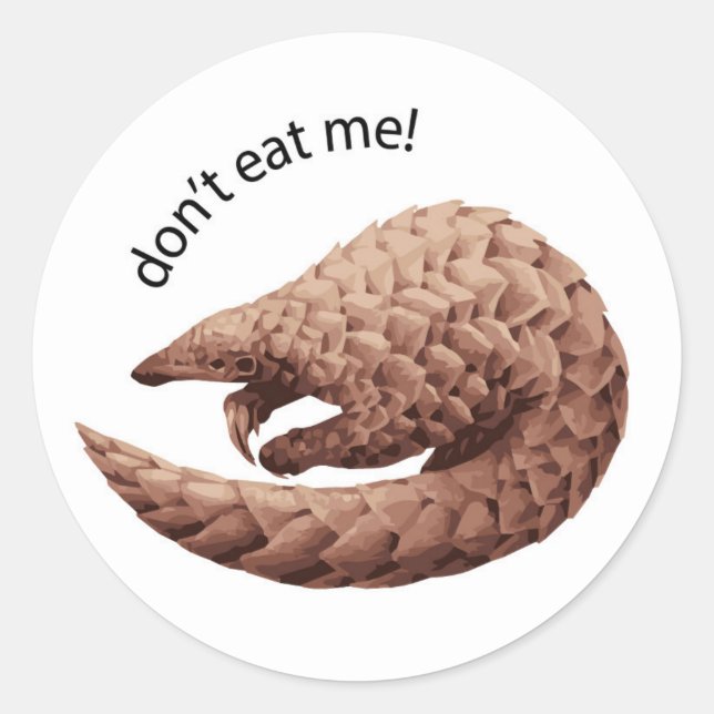 Pangolin-Sticker Runder Aufkleber (Vorderseite)