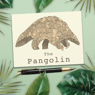 Pangolin Wildtiere gefährdete Arten Tierart Art Postkarte