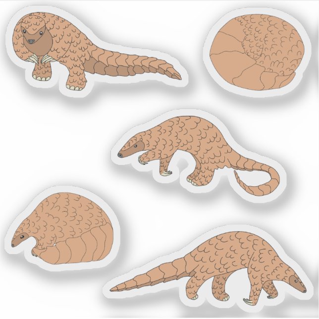 Pangolins Aufkleber (Vorderseite)