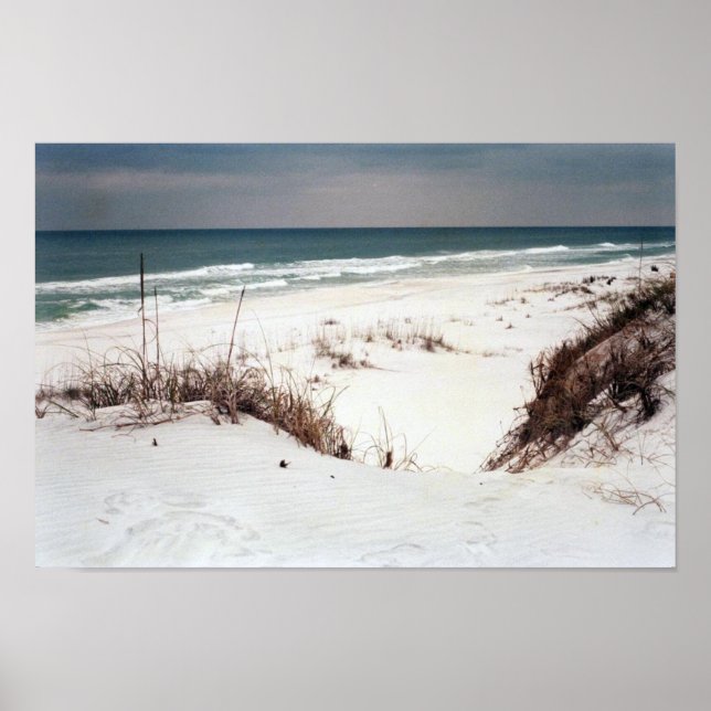Panhandle Beach Poster (Vorne)