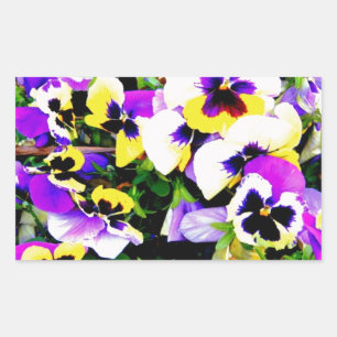 Panik-Blume Rechteckiger Aufkleber