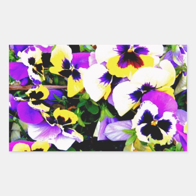 Panik-Blume Rechteckiger Aufkleber (Vorderseite)