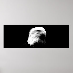 Panorama Bald Eagle American Eagle Poster Print
