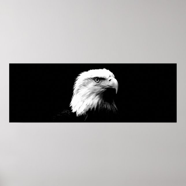 Panorama Bald Eagle American Eagle Poster Print (Vorne)