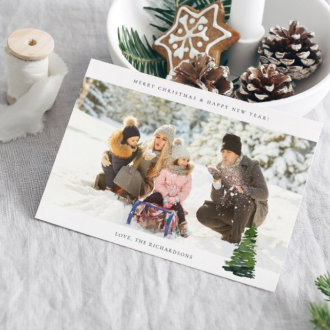 Panorama Chic H Foto - Weihnachtsbaum (Von Creator hochgeladen)