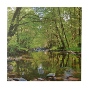 Panorama des Wilson River Fliese