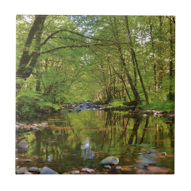 Panorama des Wilson River Fliese (Vorderseite)