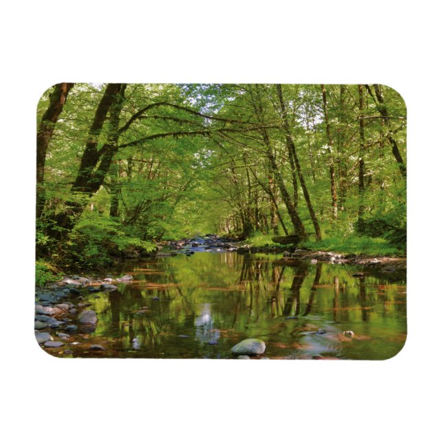 Panorama des Wilson River Magnet (Horizontal)