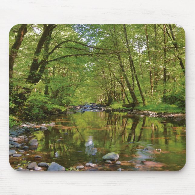 Panorama des Wilson River Mousepad (Vorne)