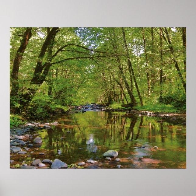 Panorama des Wilson River Poster (Vorne)
