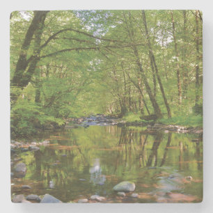 Panorama des Wilson River Steinuntersetzer