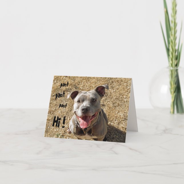 Panorama Pitbull Hi Notecard Karte (Vorderseite)