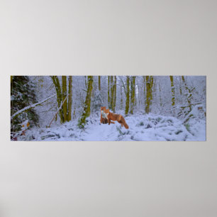 Panorama Poster