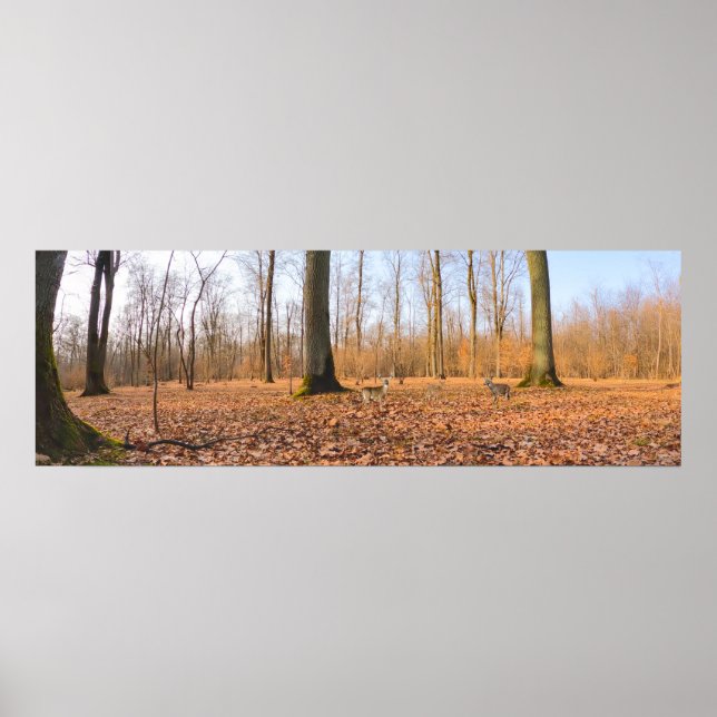 Panorama Poster (Vorne)