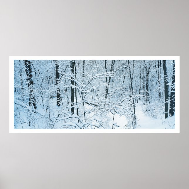 Panorama-Winterlandschaft Poster (Vorne)