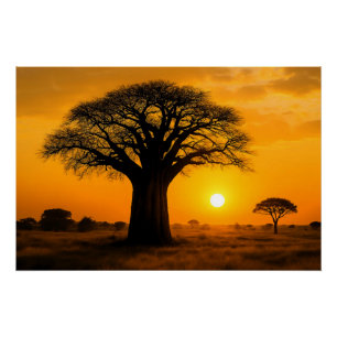 Panorama zur goldenen Stunde am Baobab-Baum Poster