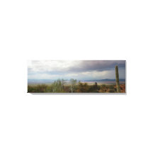 Panoramaaussicht auf Arizona Monsun Landschaft