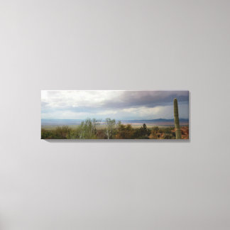 Panoramaaussicht auf Arizona Monsun Landschaft Leinwanddruck
