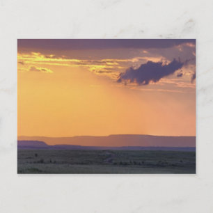 Panoramablick auf einen einzelnen Akazienbaum bei Postkarte