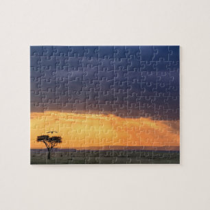 Panoramablick auf Geier und Akazienbaum Puzzle