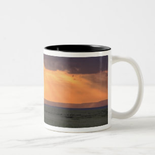 Panoramablick auf Geier und Akazienbaum Zweifarbige Tasse