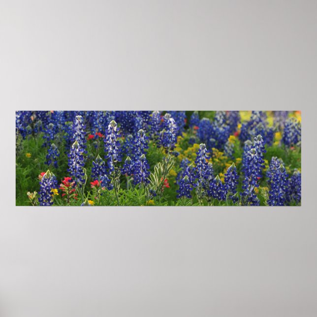 Panoramawelt Poster (Vorne)