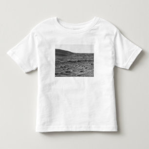 Panoramische Ansicht von Mars 6 Kleinkind T-shirt
