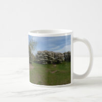 Panoramische Rosinen-Blüte mit der Bank-Tasse