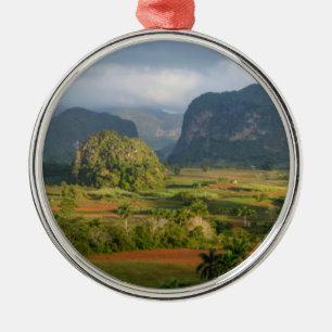 Panoramische Tallandschaft, Kuba Silbernes Ornament
