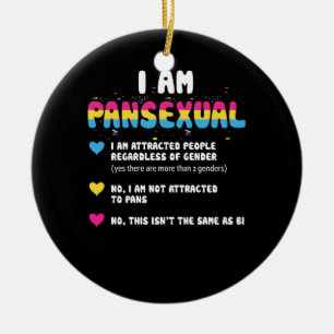 Pansexual Definition - Funny Gay Pride LGBT Keramik Ornament
