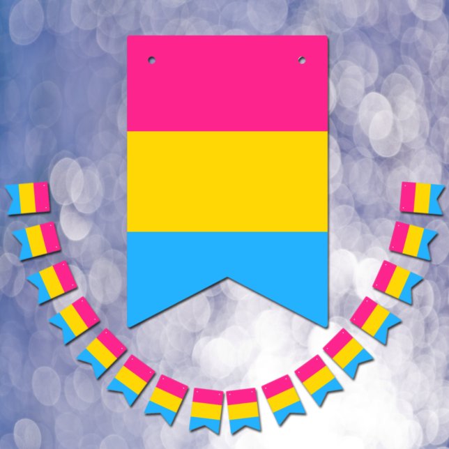 Pansexual Flag & Pride Community/Geschlechterflagg Wimpelkette (Von Creator hochgeladen)