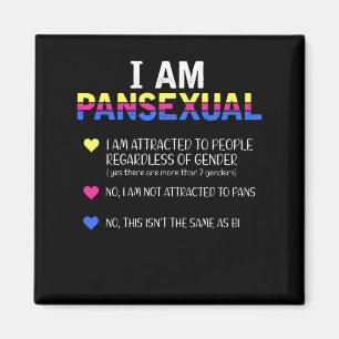 Pansexual Pride LGBT Gleiche Rechte Magnet