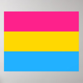 Pansexual Pride (Pan Flag) Poster