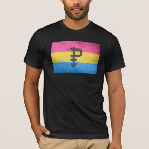 Pansexual-Stolperflagge T-Shirt