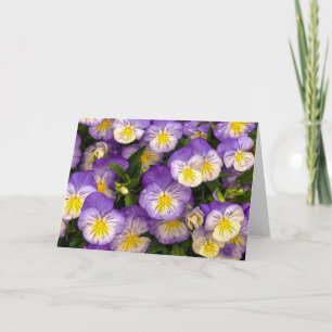 Pansies Greeting Card Karte