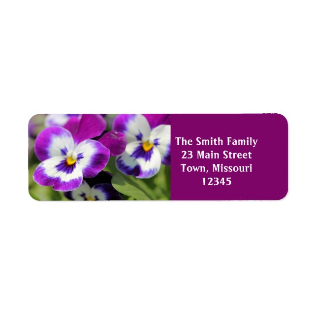 Pansy (Vorne)