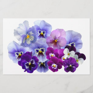 Pansy Abgeschieden Violett Nature Blume Violet Fam Briefpapier