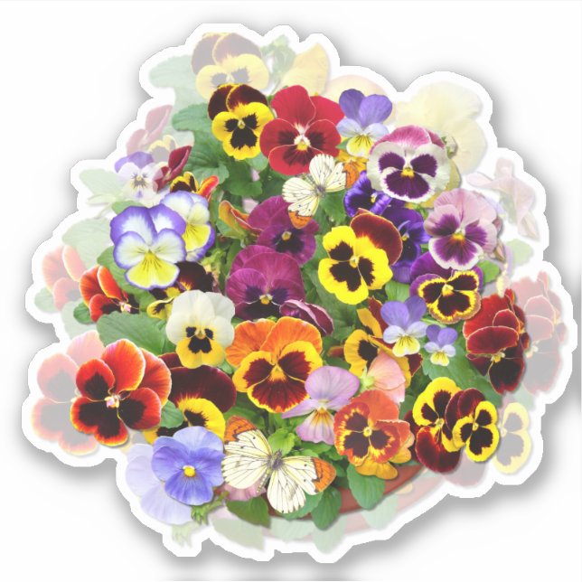 Pansy-Arrangement mit Schmetterlingskontur Aufkleber (Vorderseite)